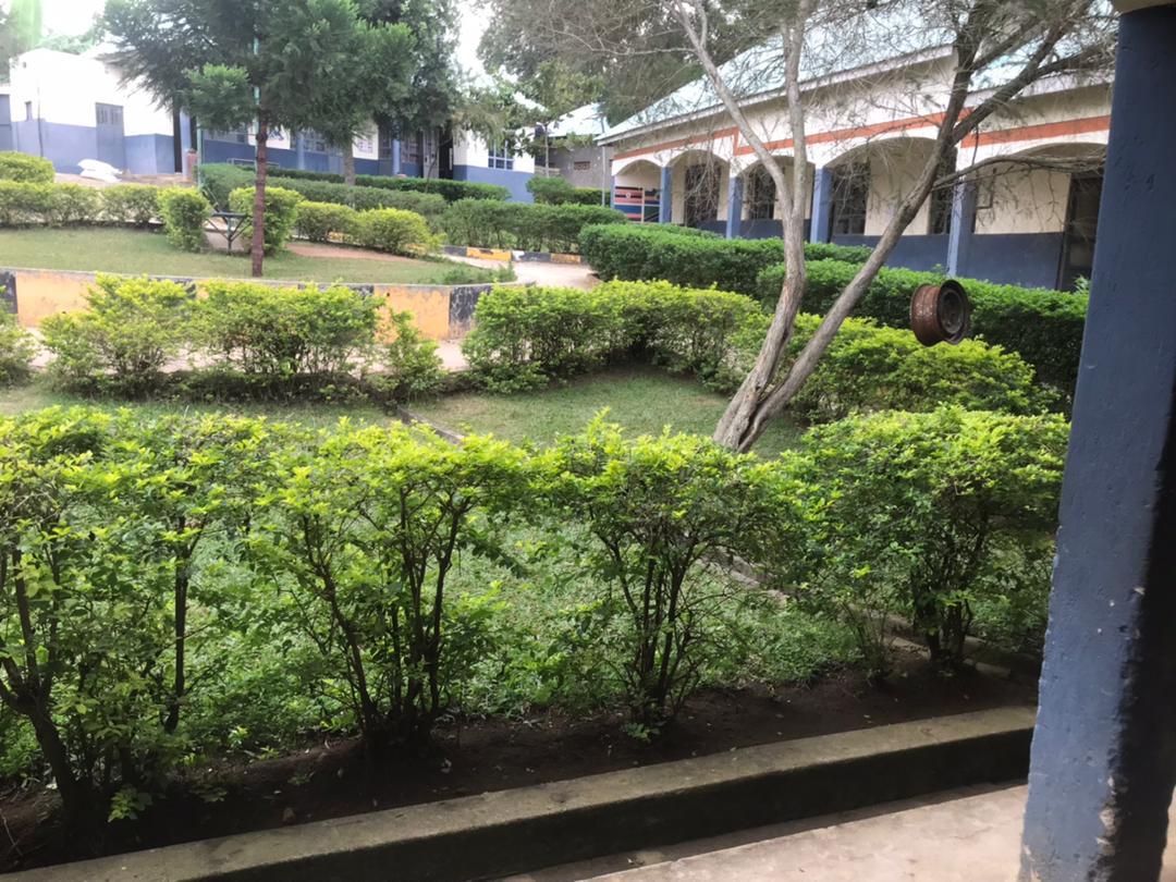 Prime School Classroom Activities